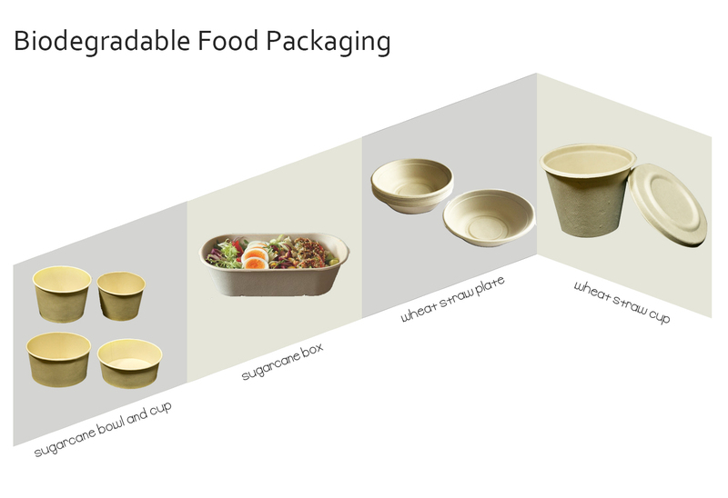 biodegradable pulp tableware.jpg
