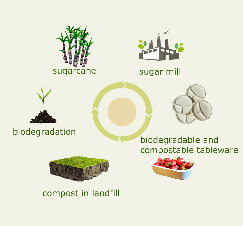 biodegradable paper products.jpg